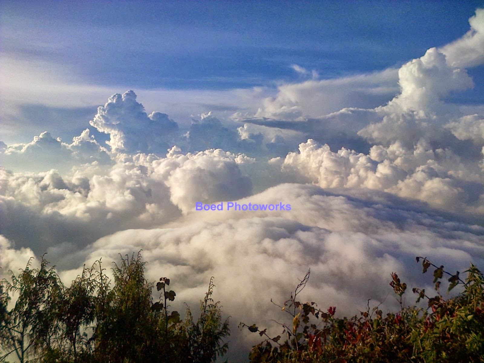 Catatan Perjalanan: Pendakian Gunung Cikuray
