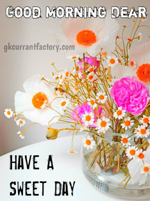 Good Morning Whatsapp Images, Beautiful Good Morning Images For Whatsapp, Whatsapp Good Morning Images, Good Morning Love Images For Whatsapp, Good Morning Images Download For Whatsapp Good Morning Whatsapp Images, Beautiful Good Morning Images For Whatsapp, Whatsapp Good Morning Images, Good Morning Love Images For Whatsapp, Good Morning Images Download For Whatsapp