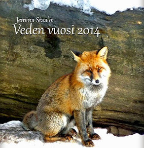 Veden vuosi 2014: