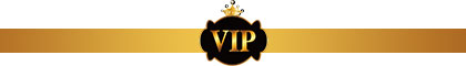 VIP экономический проект VIP статус