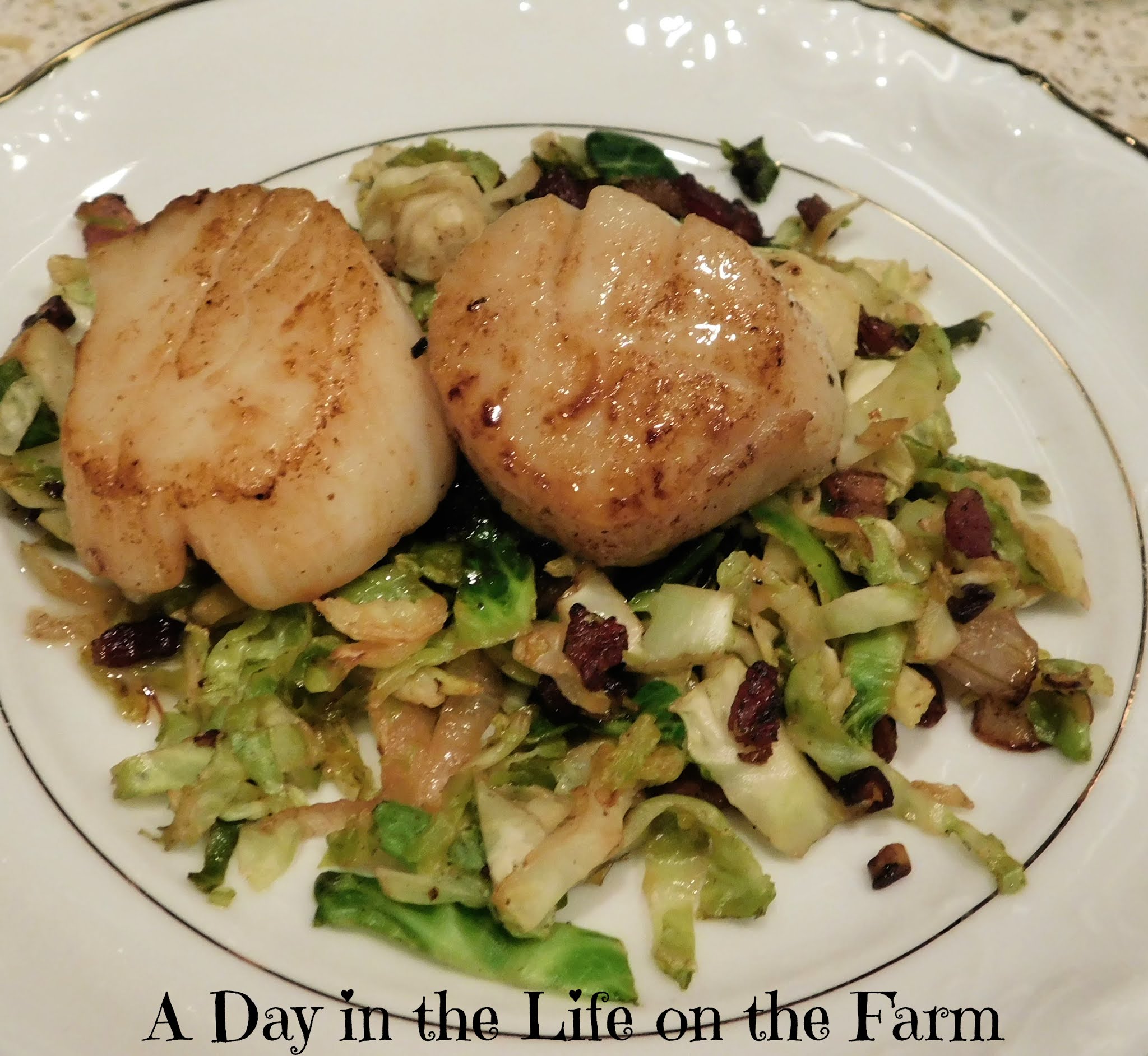 A Day in the Life on the Farm Crispy Bacon and Brussels Sprouts Salad