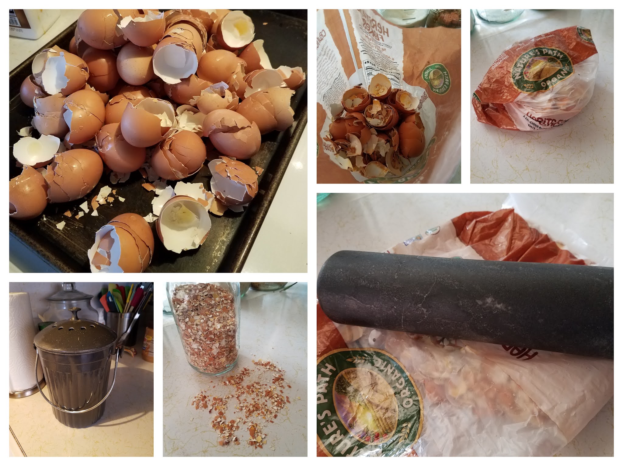 Make Your Own Grit for Backyard Chickens. Scratch Made Food! & DIY