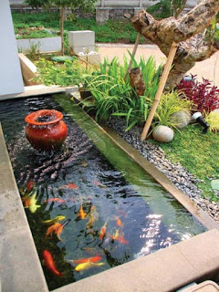  tukang taman surabaya, desain taman surabaya, kolam ikan, kolam koi, kolam minimalis