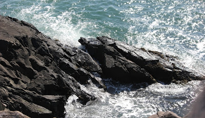 Bold Coast of Maine