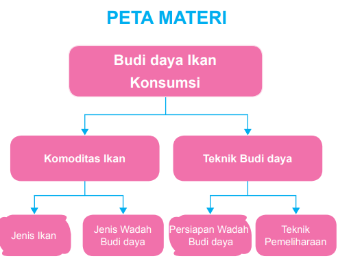 Rangkuman Materi Prakarya Kelas 9 Bab 3 Budi Daya Ikan Konsumsi Kherysuryawan Id