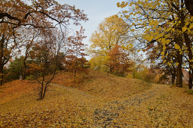 autumn, Stockholm,sweden,swedia,travel,autumn experience,musim gugur, Hagaparken