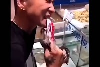 Virus Corona Adalah Bukti Kebenaran Alquran