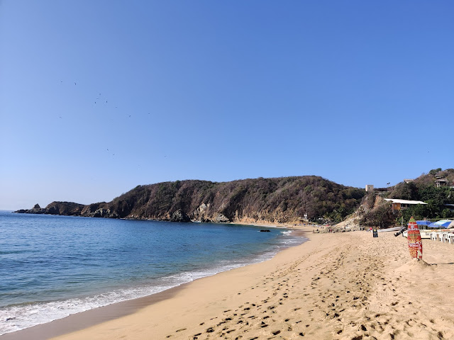 How To Plan Your Trip To Oaxaca In Mexico Mazunte