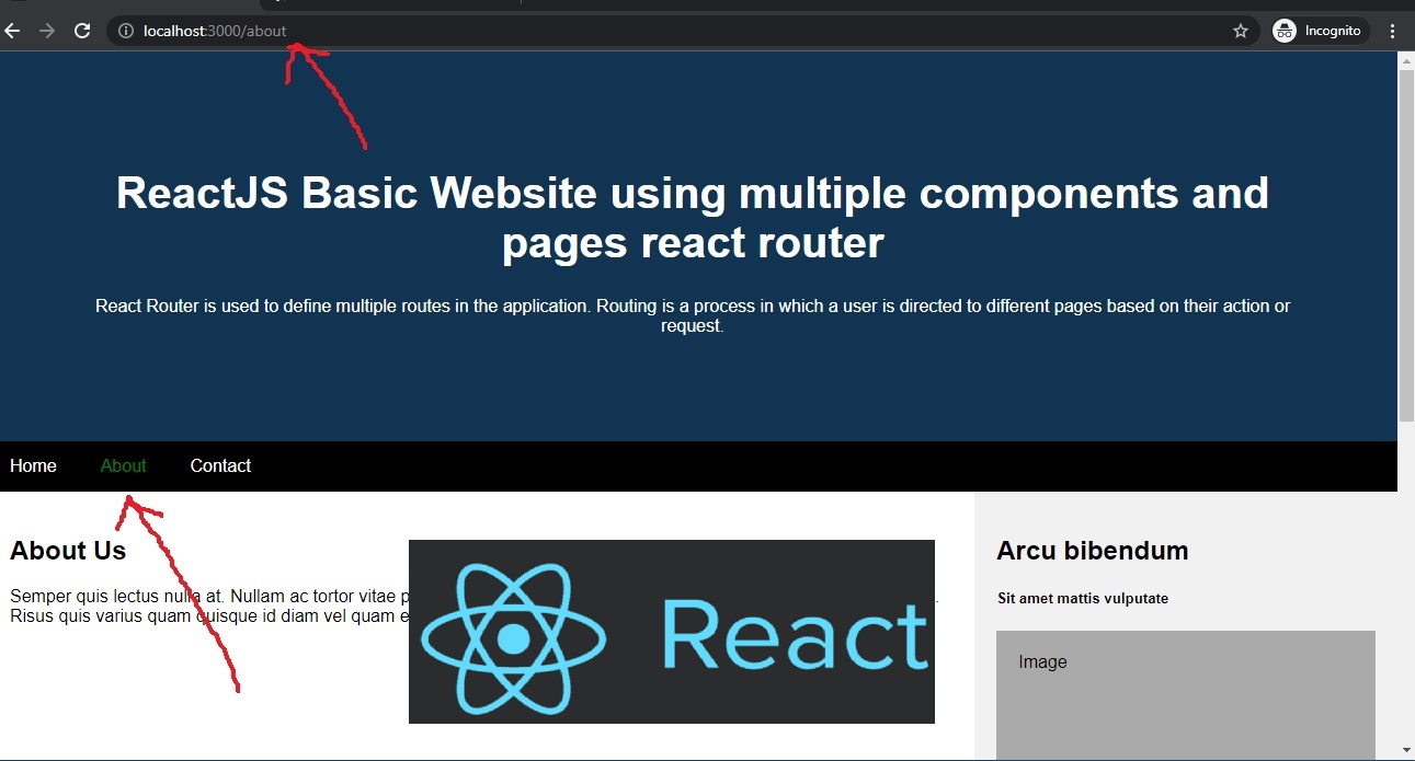 ReactJS Basic site using multiple components and pages react router