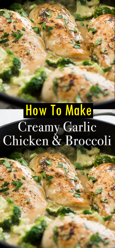 Creamy Garlic Chicken with Broccoli Recipe - Dessert & Cake Recipes