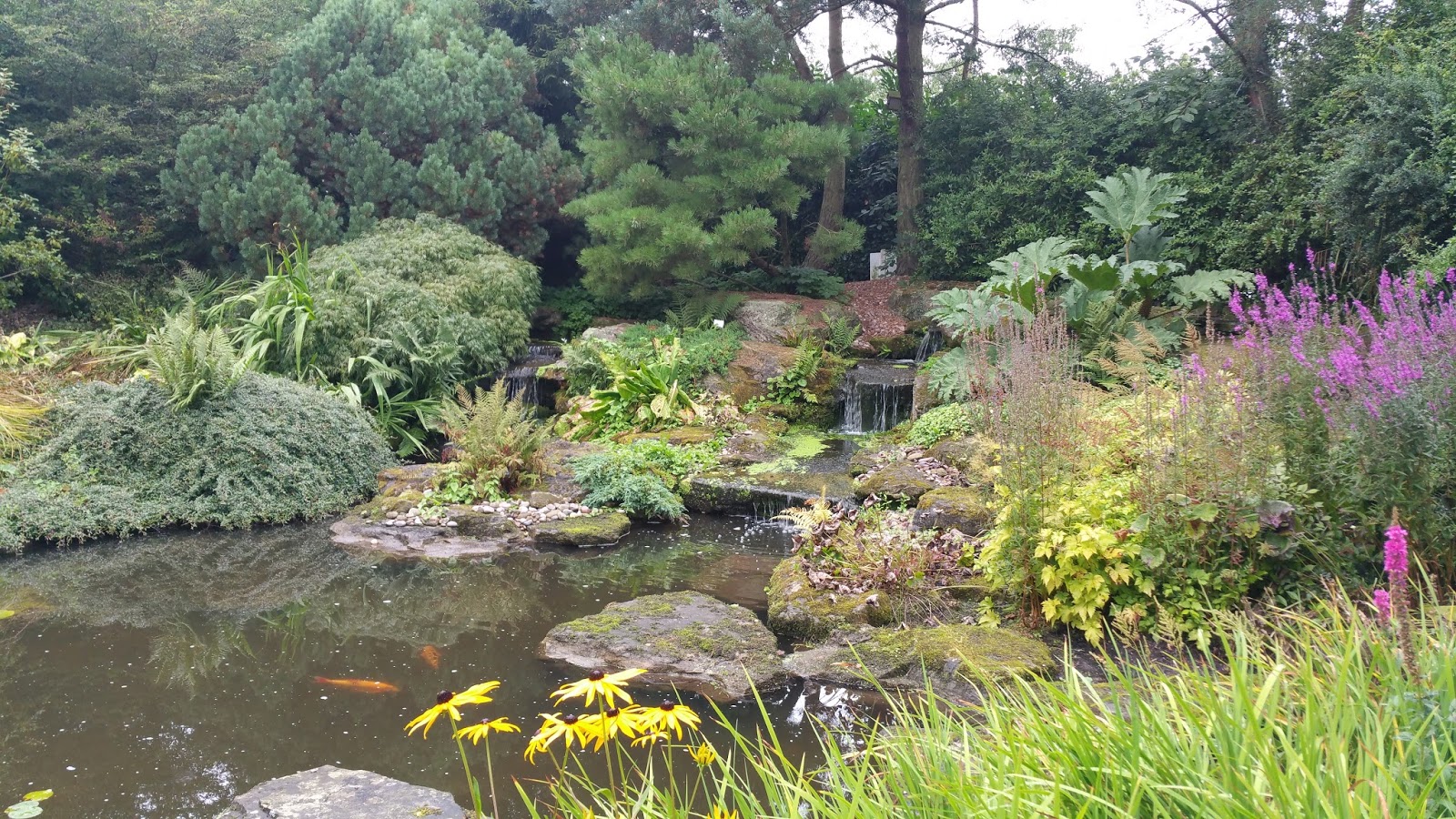 Bridgemere Garden Centre | Nantwich | Cheshire | Paws across Britain