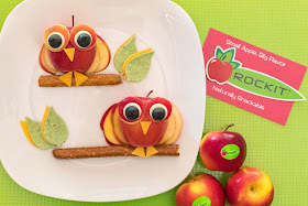 How to Make an Apple Owl Lunch For Your Kids!