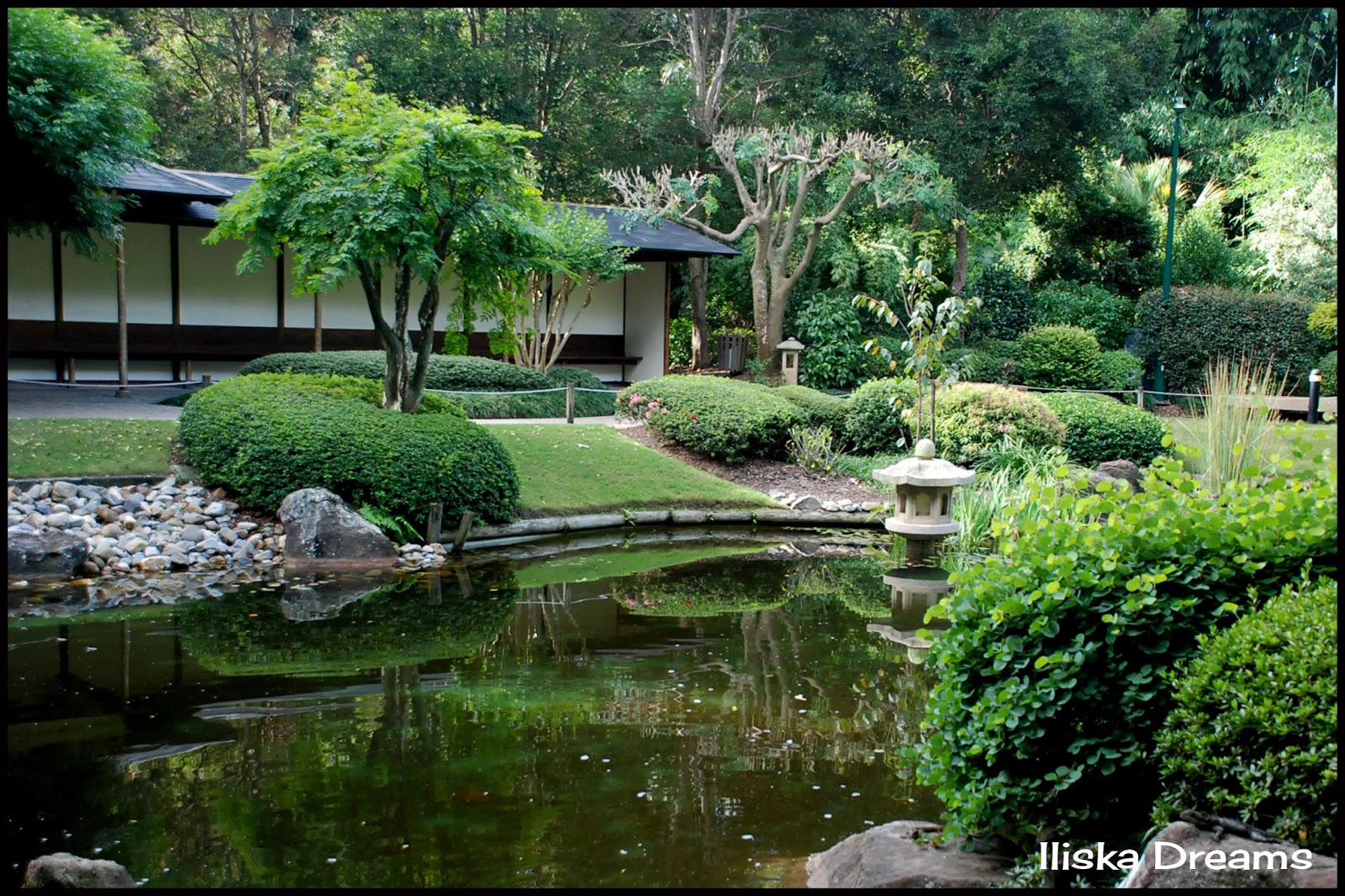 Iliska Dreams TOURIST IN MY OWN CITY BRISBANE BOTANICAL GARDENS, MT