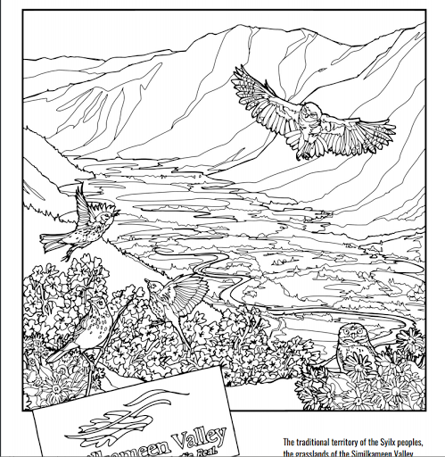 COLOURING BOOK!