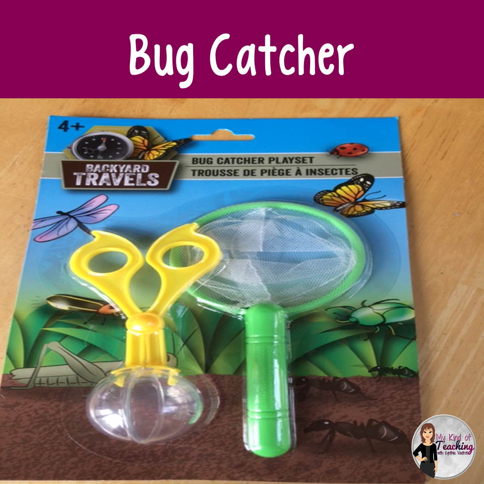 My Kind of Teaching 10 Things to Buy at Dollar Tree in June