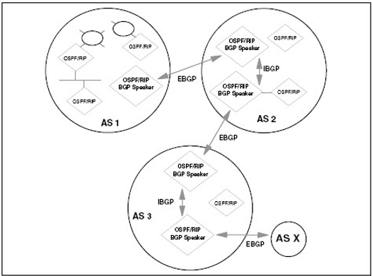 Gambar 6.4 Komponen BGP