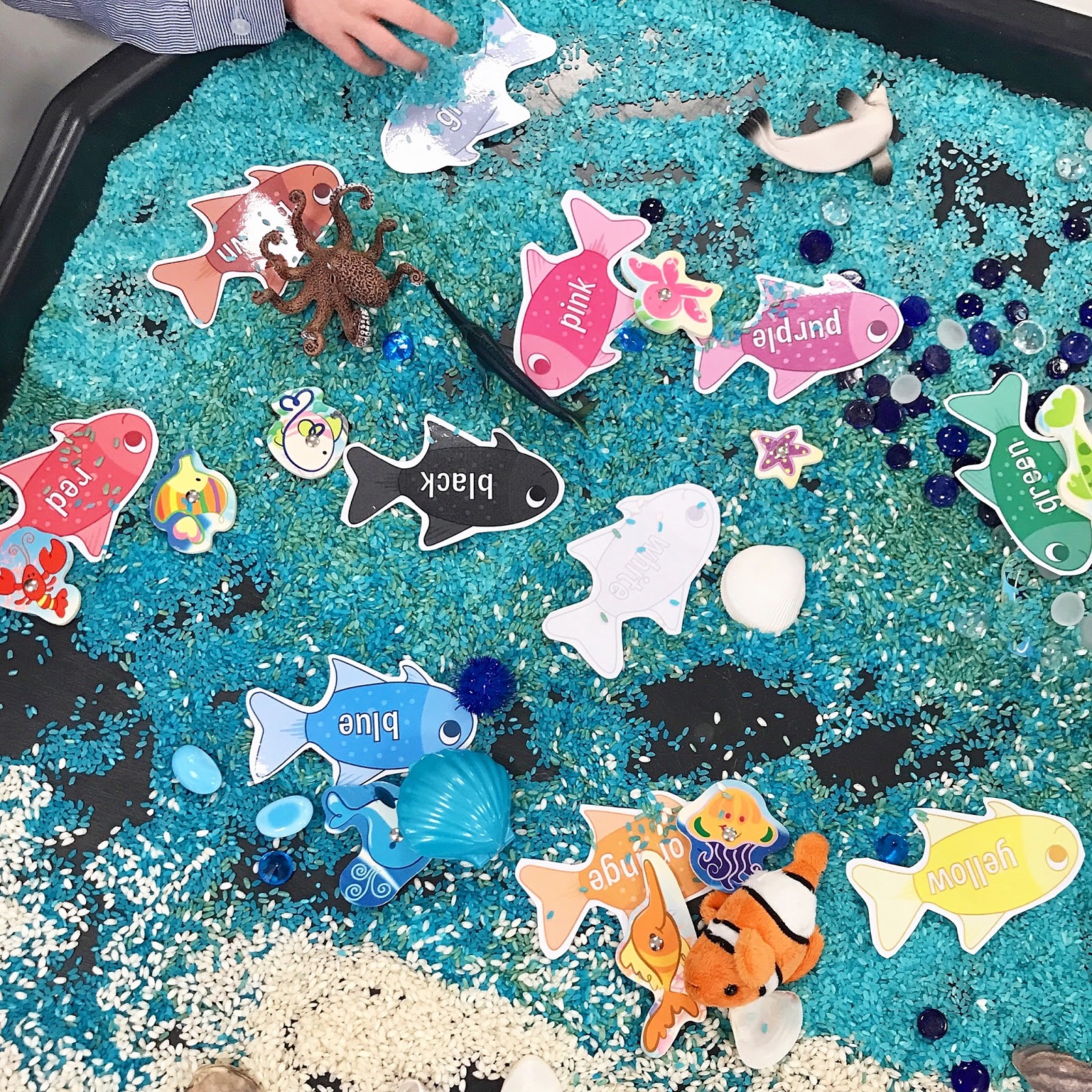 Outstanding Oceans Ideas for Junior Primary Teacher Types