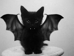 Cat-Dracula