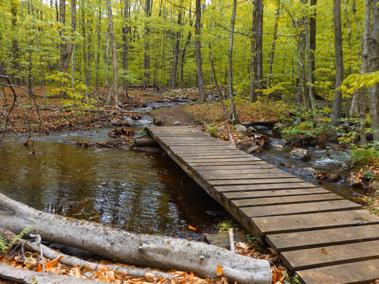 Walking Man 24 7 Pilot Knob Preserve/ Inman Pond(AdirondacksLake Region)