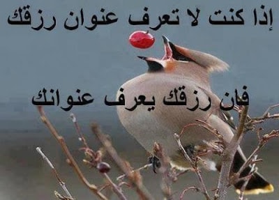 اجمل الصور الاسلامية المعبرة