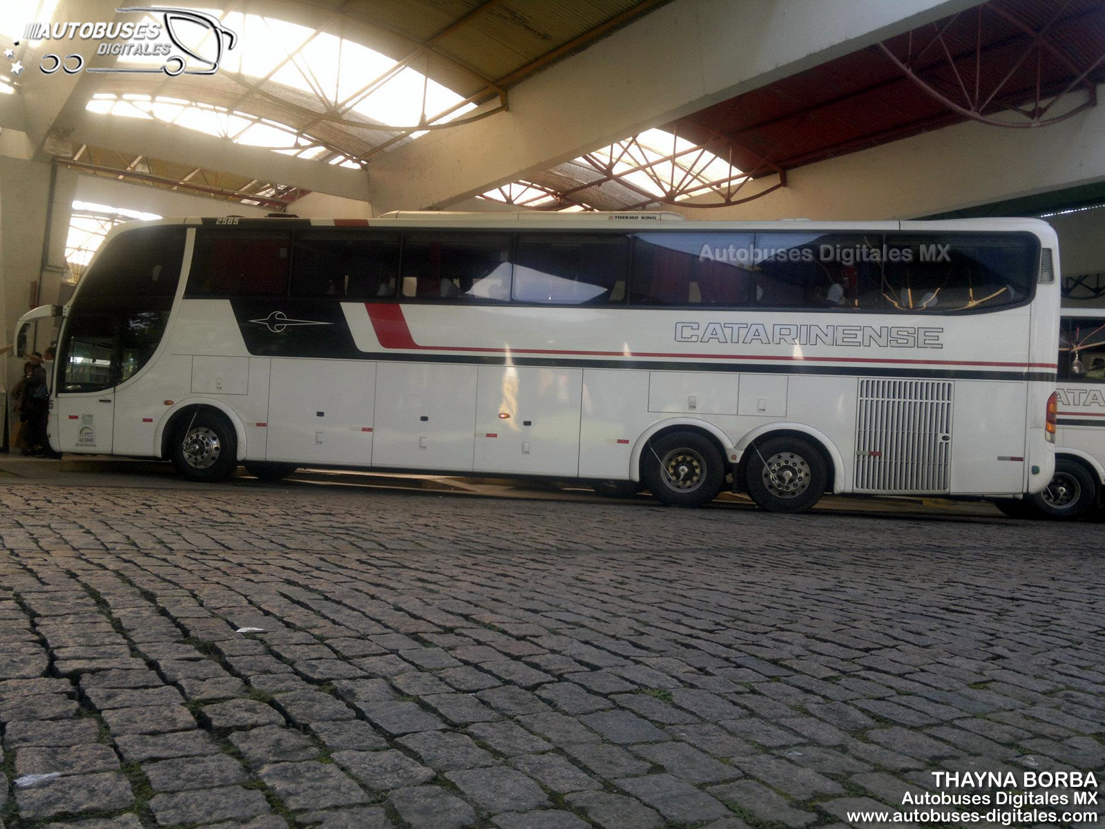 Auto Viação Catarinense LTDA (Brazil) Autobuses