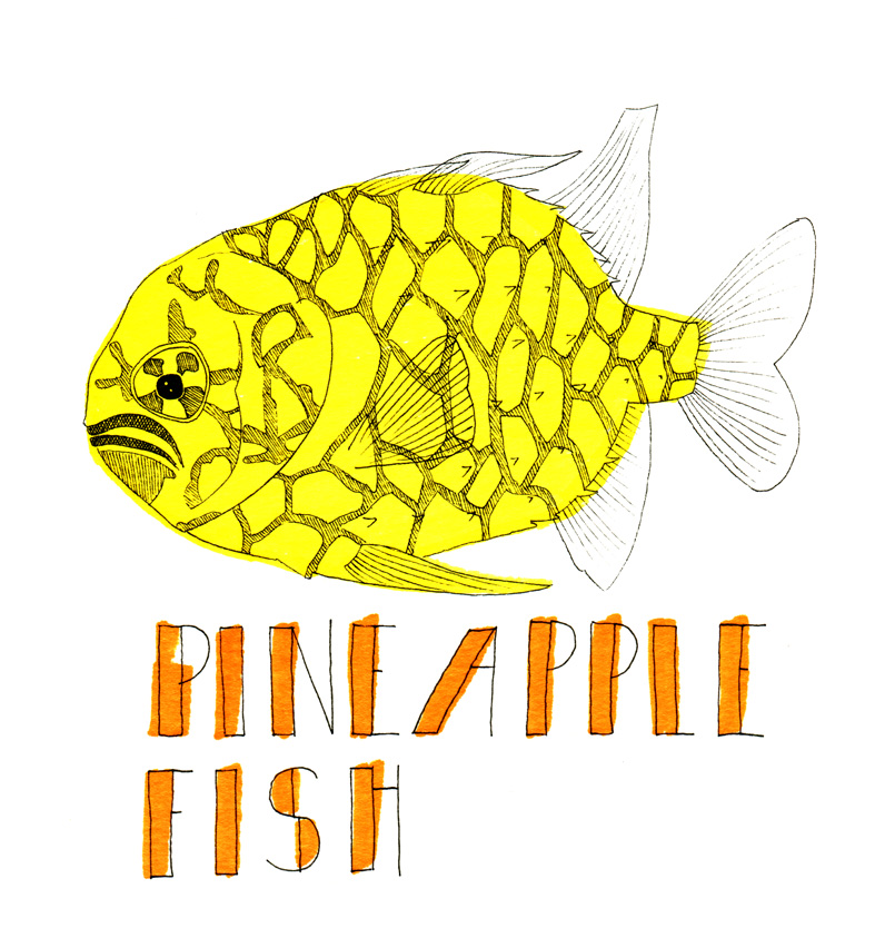 365 animals day threehundred pineapple fish