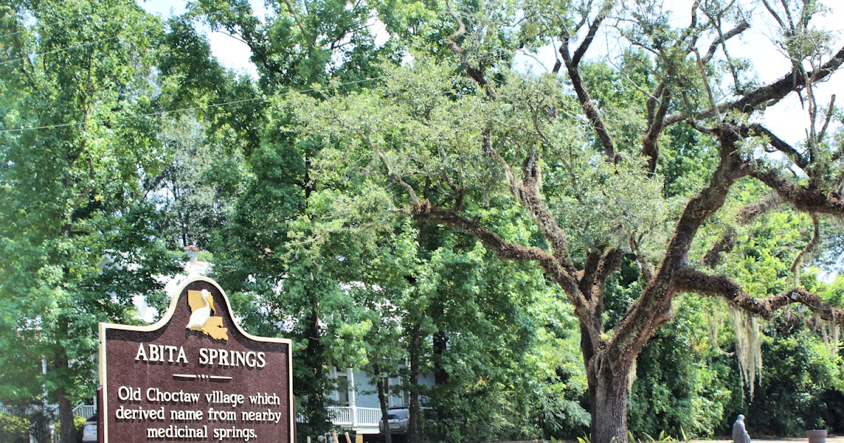 Tammany Family Abita Springs Photos