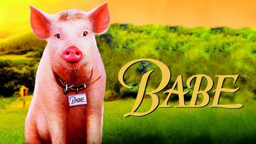 Babe - O Porquinho Atrapalhado 1995 Filme 1080p 720p BDRip FullHD HD completo Torrent