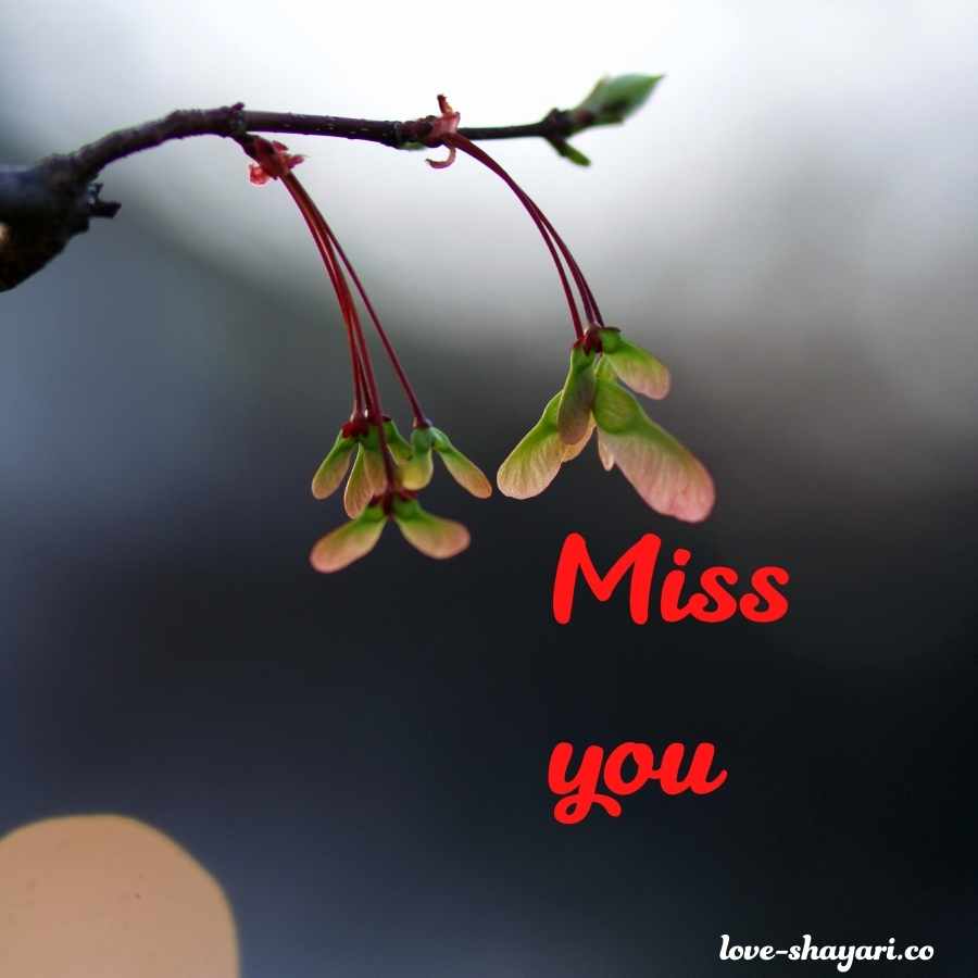 I miss you images for lover | Missing you images photo