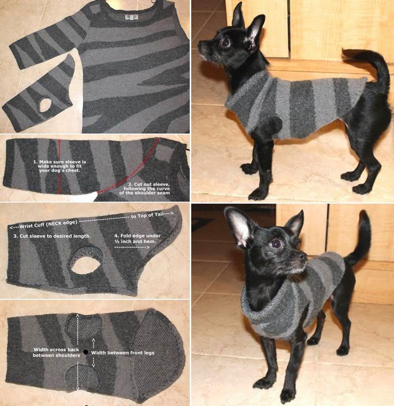 How to Make a Sweater for Your Dog NO SEW! - DIY Craft Projects