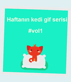 Haziran Ayının Eğlenceli Kedi Gifleri Part 1