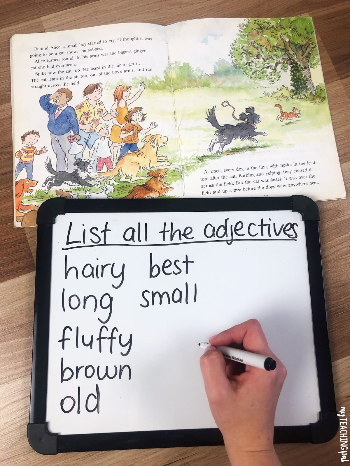 10 Fun Activities to Teach Adjectives | My Teaching Pal