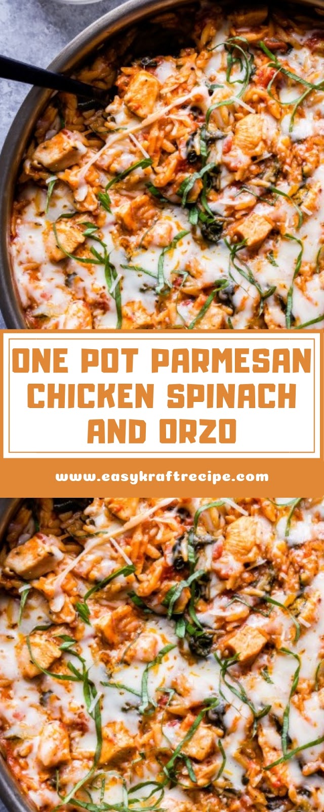 ONE POT PARMESAN CHICKEN SPINACH AND ORZO