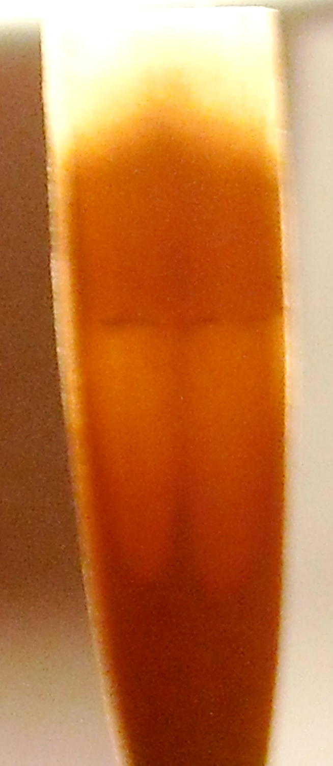 Physics of Oboe Reed Oboe Reeds