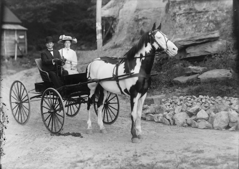 Before Automobile Popularity, 40 Amazing Photos Capture People During