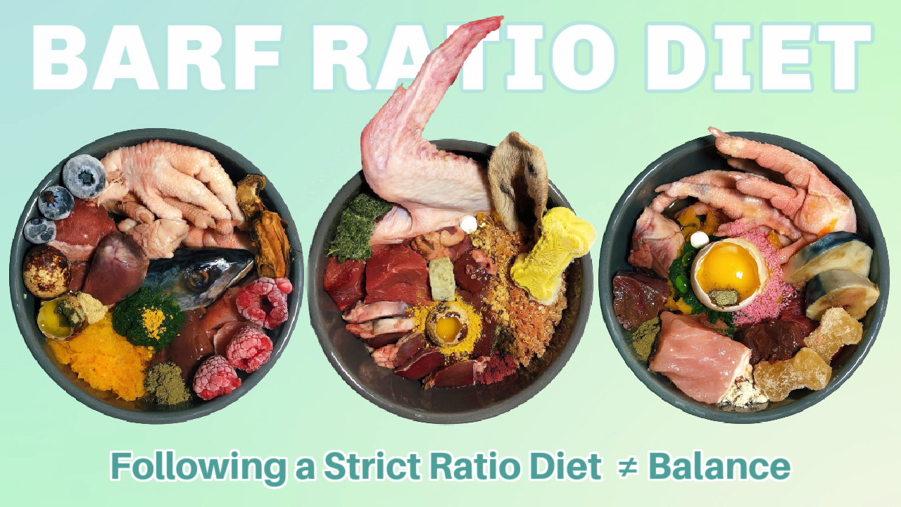 Food Diet Feeding Raw And Kibble Ratio Feeding Raw Meat Diet
