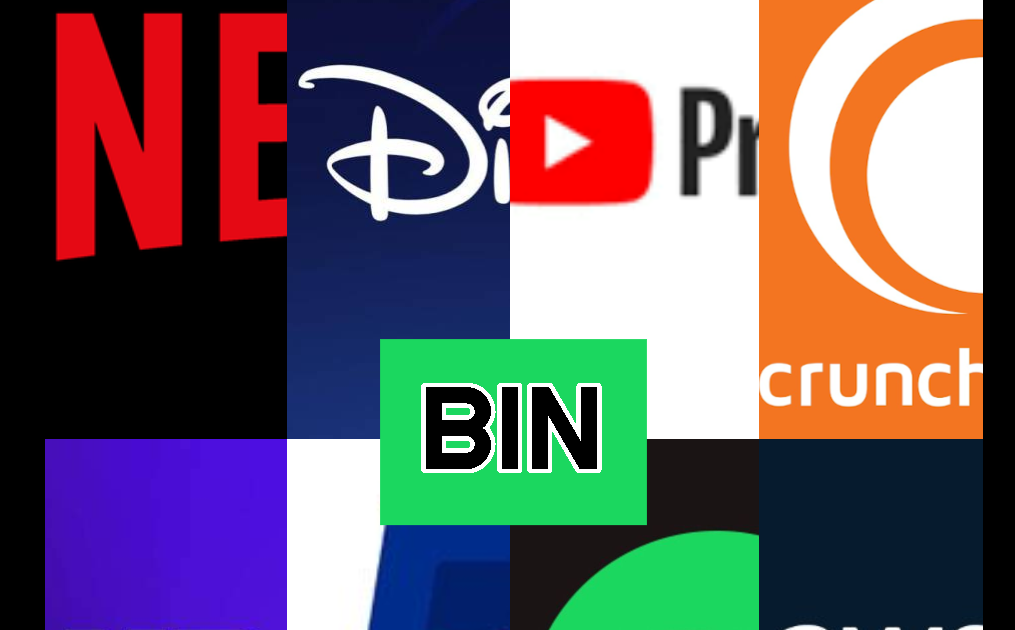 BIN MULTIFUNCIONAL CANADA PACK BINS FUNCIONALES SPOTIFY DEEZER