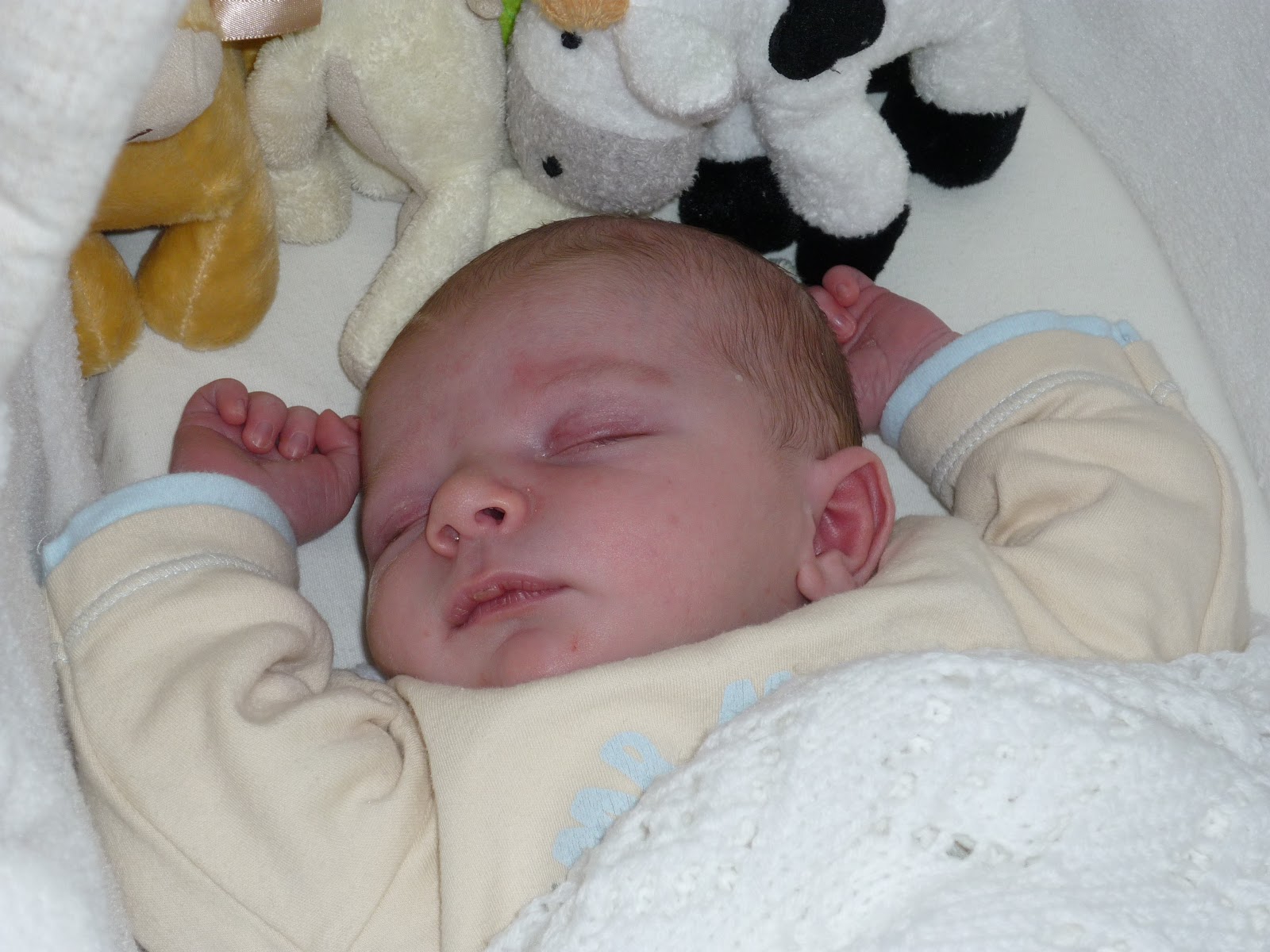 Pennies 4 Parents Benefits And Entitlements For Expectant And New Parents