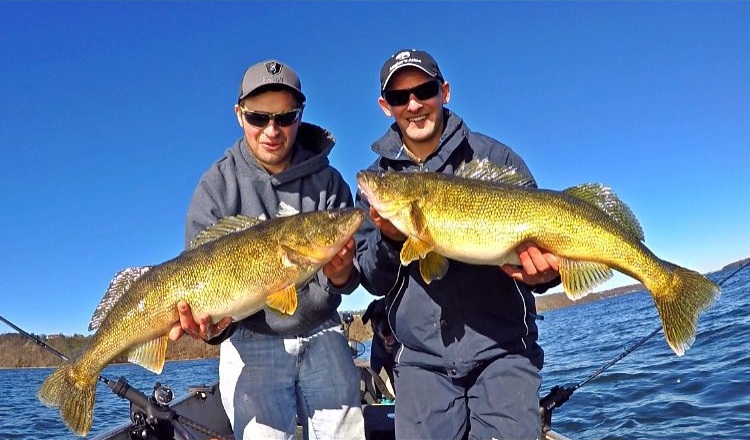 Twin 12lb Bay of Quinte Walleye