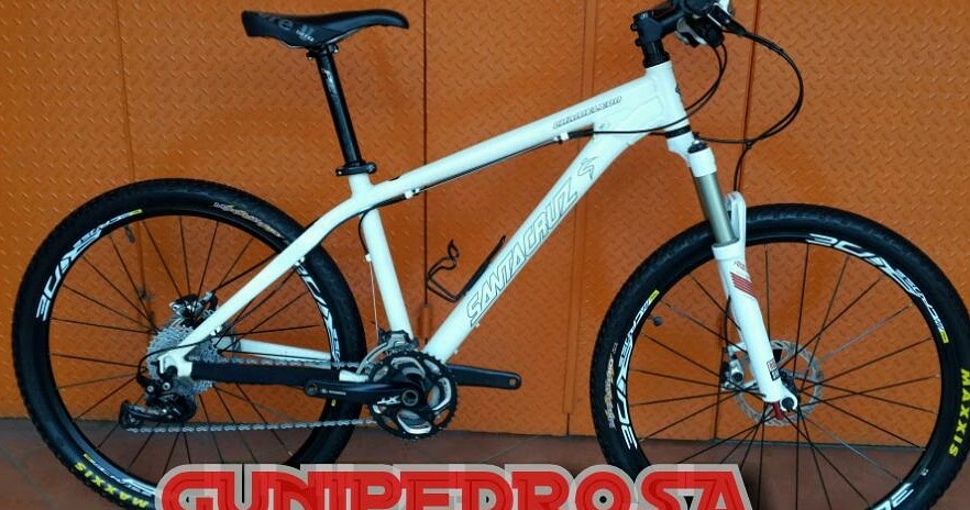 jual santa cruz chameleon