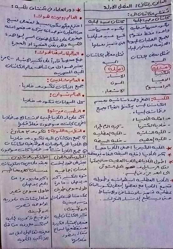 الخلاصه في 7 ورقات ماده الأحياء اولي ثانوي