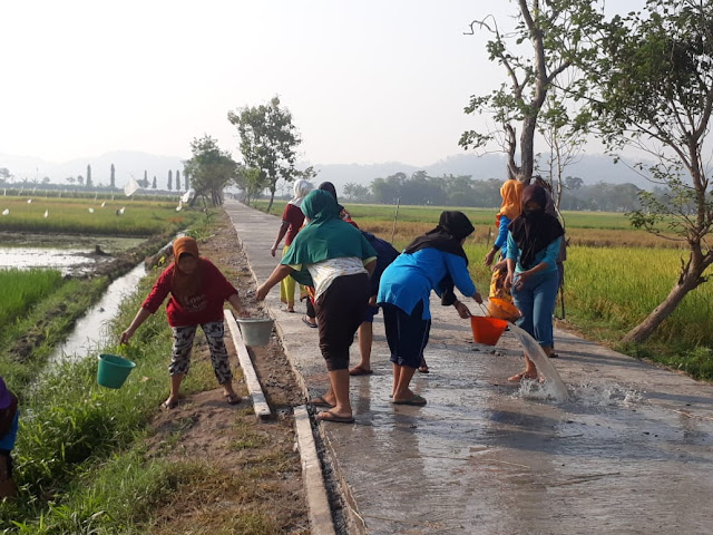 PKK RW 25 Turun Kejalan Siram Hasil Betonisasi TMMD Kodim Klaten