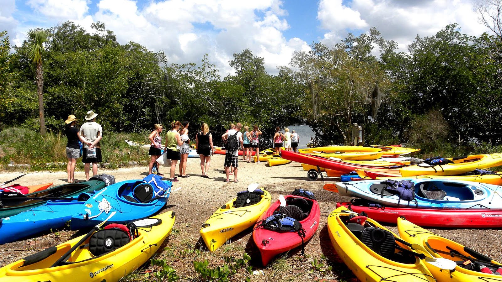 Kayaking Sarasota Kayak Rentals Kayak Choices