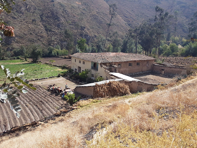 Hacienda San Fernando