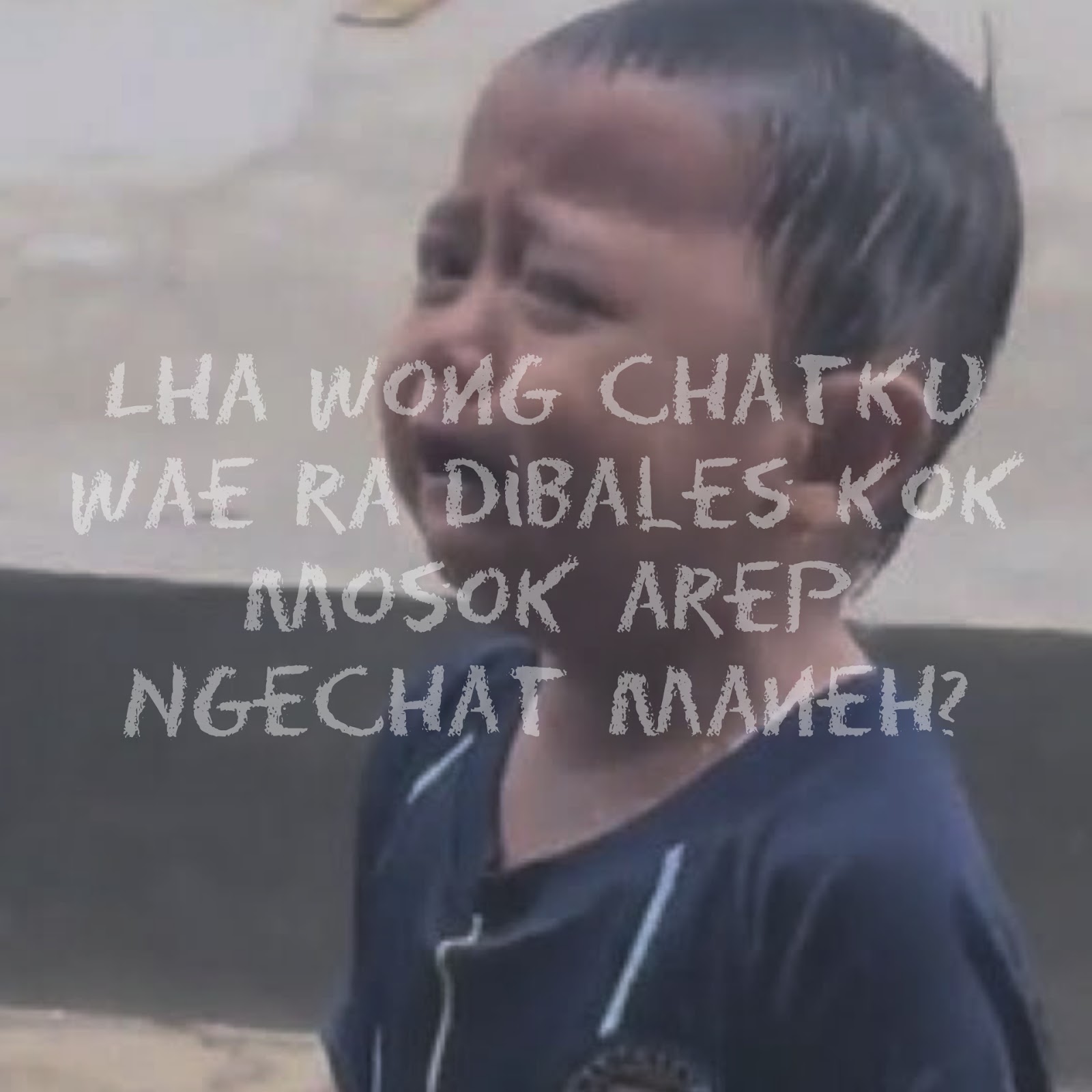 56 Kata Kata Jawa Lucu Buat Status Wa