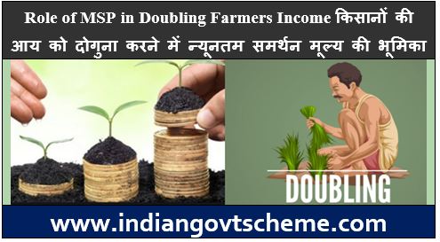 Doubling Farmers Income