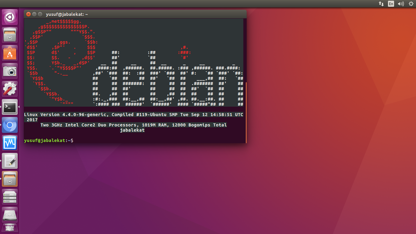 Via terminal. Терминал via. ASCII Debian Wallpaper. Info_os info LSI.