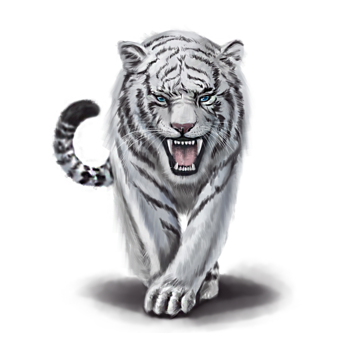 Animal Elements Of Ferocious White Tiger Free Png File Pngkhcom