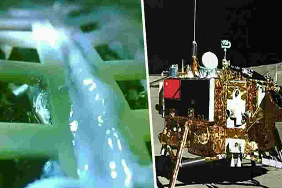 Cotton Plant Onboard China's Lunar Rover Has Died