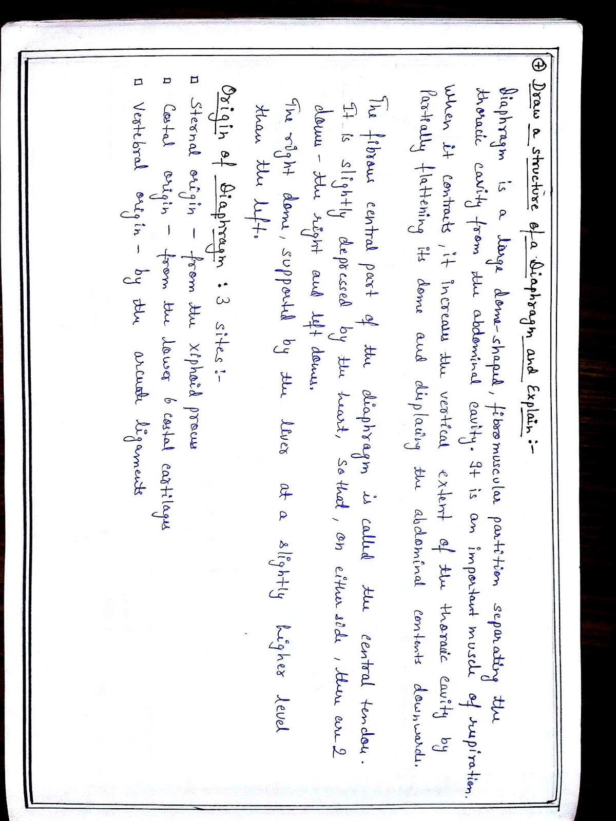 Anatomy Diagram Book